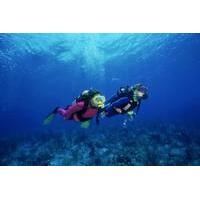 St Lucia Scuba Diving Adventure for Certified Divers