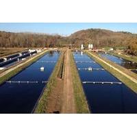 Sturgeon Fish-Farm Visit with Caviar Cooking Class in Neuvic