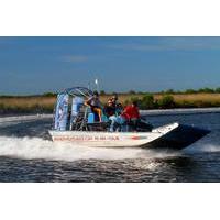 st martins keys gran dolphinismo airboat adventure and dolphin tour