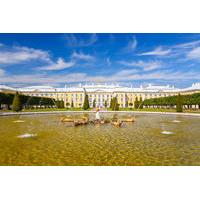 St. Petersburg Shore Excursion: One Day Highlights Tour