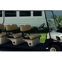 Street Legal Golf Cart Rental in Fort Lauderdale
