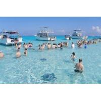 stingray city experience from grand cayman