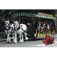 stanley park horse drawn tours