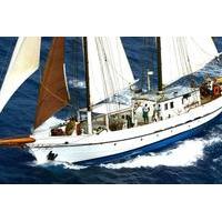St Maarten Gourmet Sailing and Snorkel Cruise
