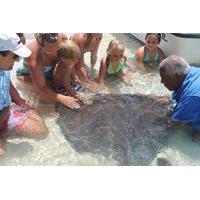 Stingray Feeding Tour at Sandy Cay