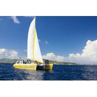 St Kitts Full Day Catamaran to N...