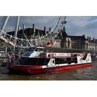 St Paul\'s Cathedral and London Thames River Sightseeing Cruise