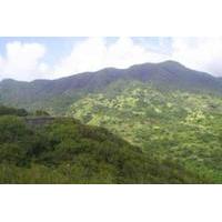 St Kitts Volcano Hiking and Sightseeing Excursion