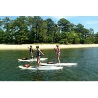 stand up paddleboard eco tour of first landing state park