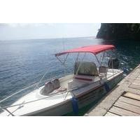 st lucia shore excursion private speedboat soufriere tour with mud bat ...