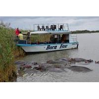 St Lucia Wetlands Day Trip from Durban Including Estuary Boat Ride