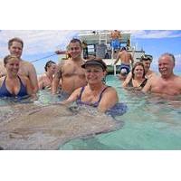 stingray city experience plus one snorkeling stop