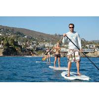 Stand Up Paddle Board Tour at Flamingo Beach