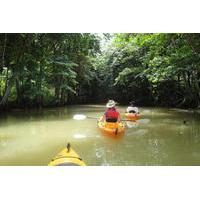 St Lucia Marigot Bay to Roseau River Kayaking Tour