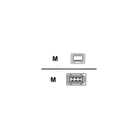 Startech IEEE 1394 Firewire 4Pin - 6Pin Cable 3m