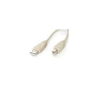 Startech Fully Rated A-B USB Cable 2m