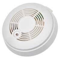 Streetwize Smoke Detector
