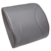 streetwize deluxe back support cushion