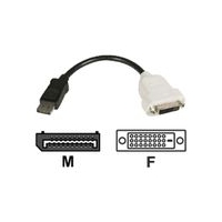 StarTech.com DisplayPort to DVI Video Converter