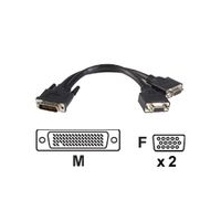 startechcom 8in lfh 59 male to dual female vga dms 59 cable