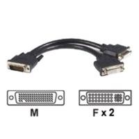 startechcom 8in lfh 59 male to dual female dvi i dms 59 cable