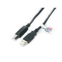 Startech High Speed Certified Usb 2.0 Cable (3m)