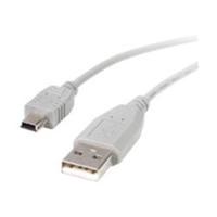 StarTech.com 1 ft Mini USB 2.0 Cable - A to Mini B - M/M