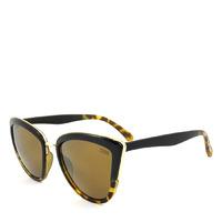 STORM Lycastus Sunglasses 9ST536-2
