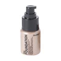Stargazer Pro Foundation
