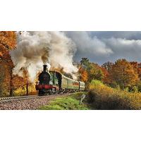 Steam Train Journey on Bluebell Railway for Two and Visit Wakehurst Place