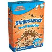 Stegosaurus Fossil Excavation