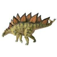 Stegosaurus Museum Line