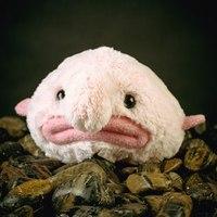 Stuffed Blobfish