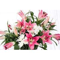 Stargazer Lily Bouquet