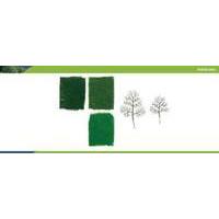 Starter Tree Kit - Sycamore - 75...