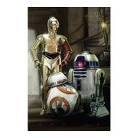 Star Wars: The Force Awakens Droids - 24 x 36 Inches Maxi Poster