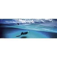 Stingray, Panorama - David Doubilet Jigsaw Puzzle