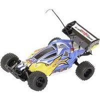 Starkid 68186 Landking 1:10 RC model car for beginners Electric Buggy RWD