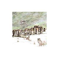 Stonehenge Owls in Starlight Greeting Card