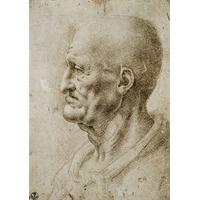 Study of an Old Man\'s Head in Profile By Leonardo da Vinci