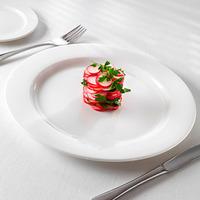 Steelite Monaco Flat Rim Plate 30.5cm (Single)