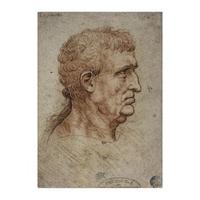 Study of the Head of an Older Man By Leonardo da Vinci