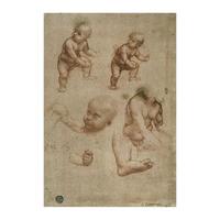 Studies of the Christ Child By Leonardo da Vinci