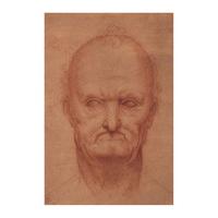 Study of an Old Man\'s Head in Profile By Leonardo da Vinci