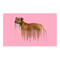 Staffie - Pink By Carl Moore