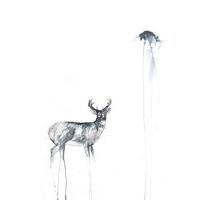 Stag By Belles Petite