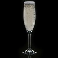 strahl design amp contemporary polycarbonate champagne flutes 5oz 160m ...