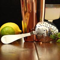 Stainless Steel Biloxi Julep Strainer (Single)