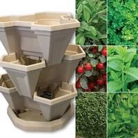 Stack'n'Plant System + 12 Veg Plants + FREE Compost