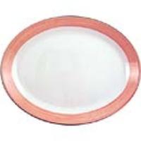 Steelite Rio Pink Oval Coupe Dishes 280mm Pack of 12